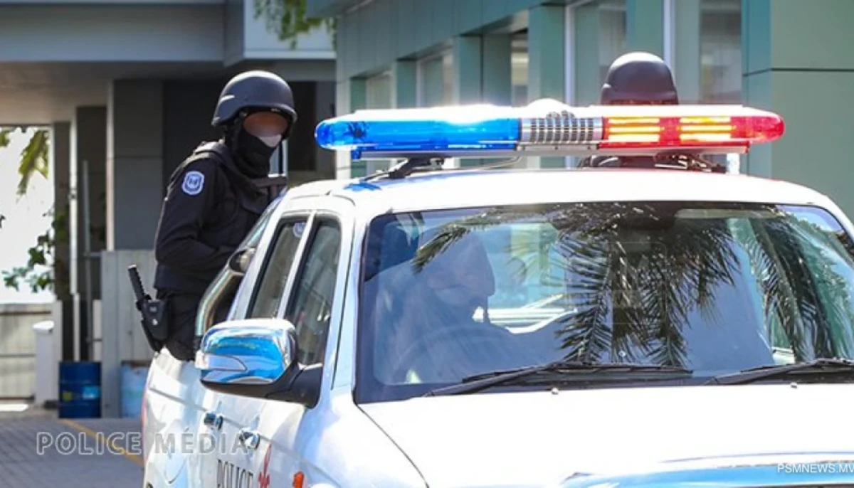 4 accused of attempted terror attack in neighbouring country | Atoll Times