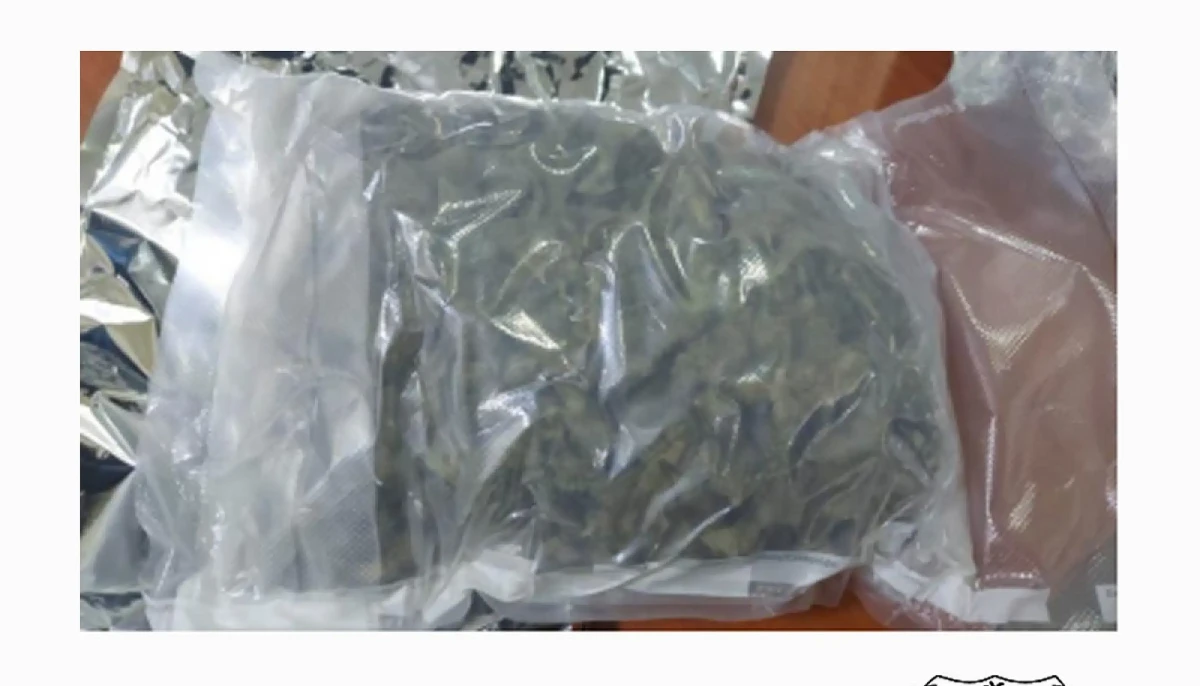 Customs seizes MVR 856,000 worth of drugs | Atoll Times