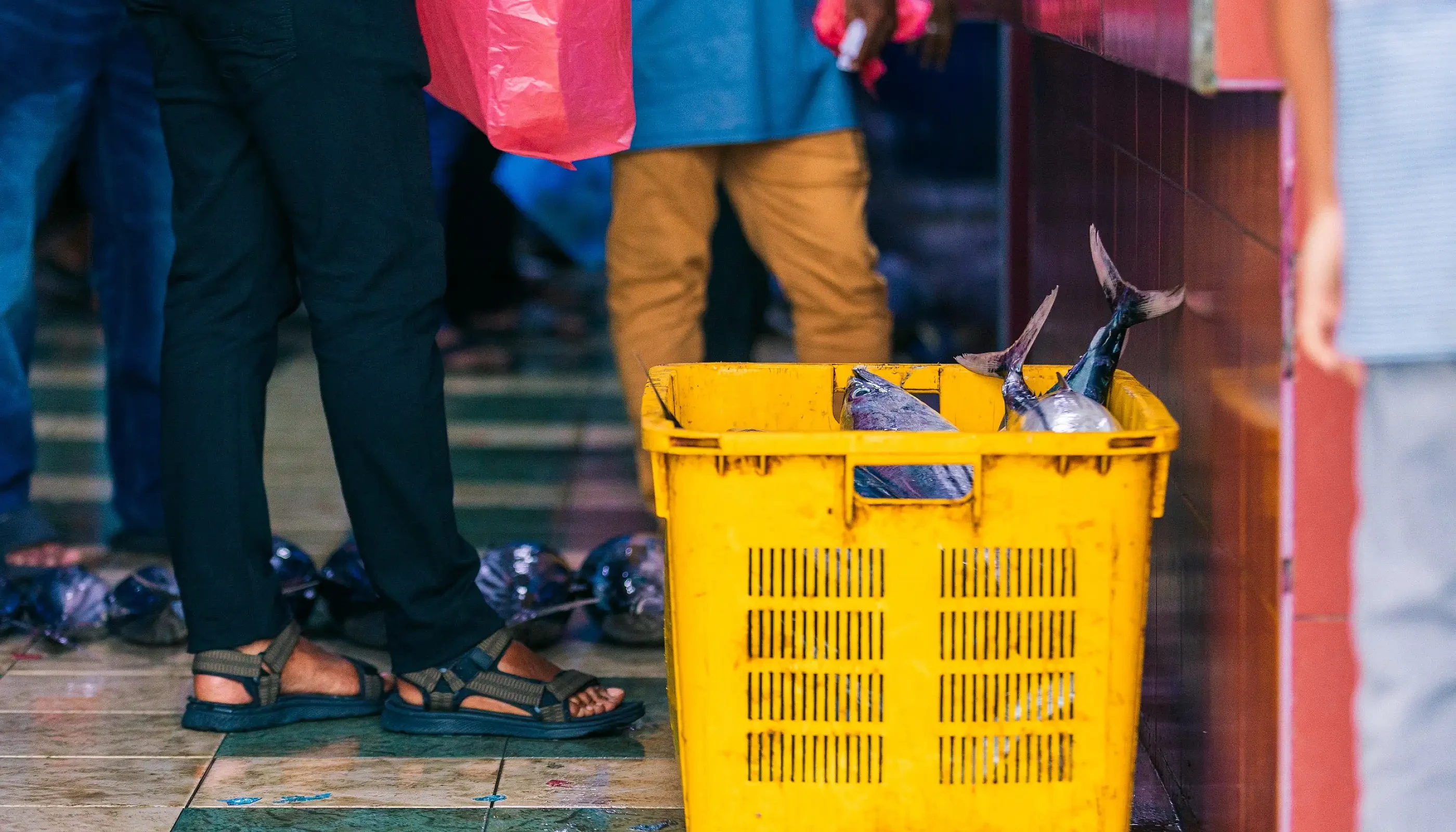 Council moves to stop illegal use of fish market premises | Atoll Times