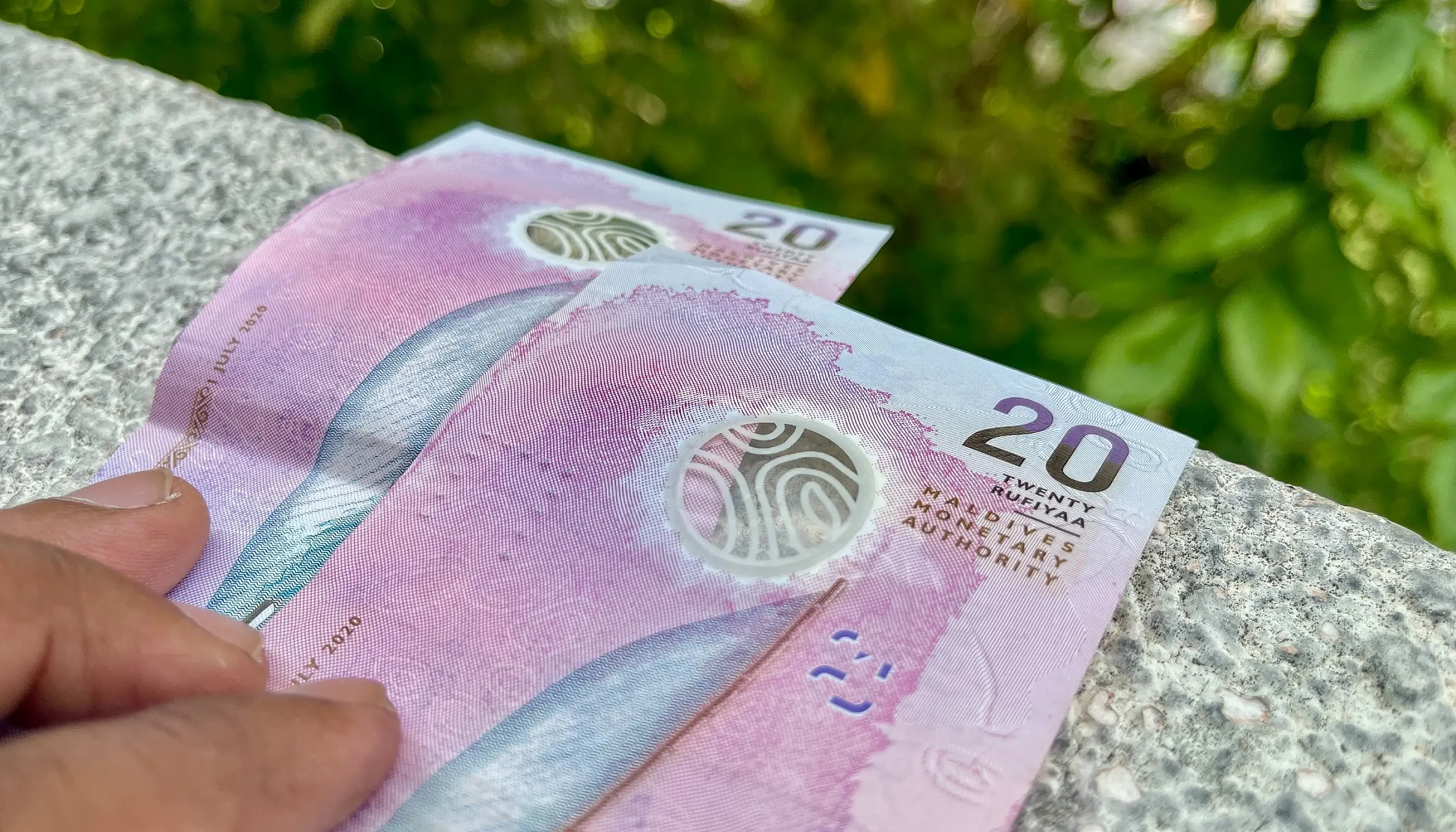 MMA receives new stock of MVR 20 banknotes | Atoll Times