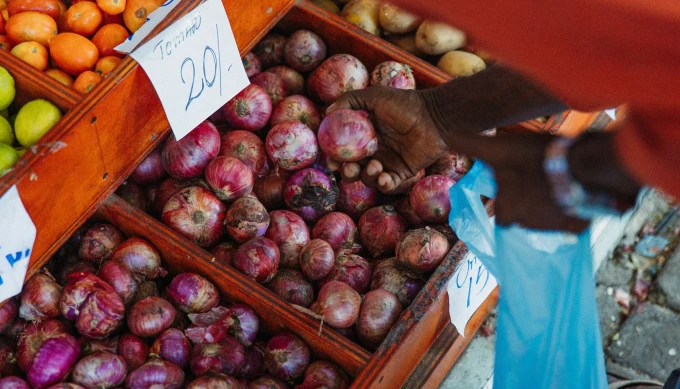 Maldives secures renewed import quotas from India