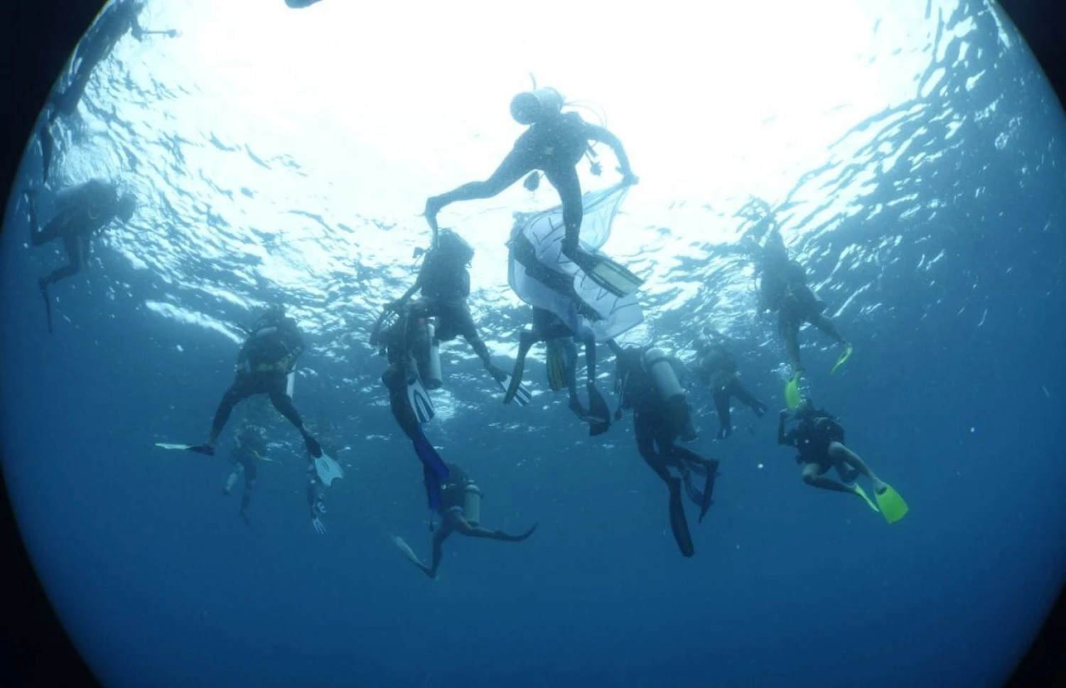 Atmosphere Foundation opens applications for dive training | Atoll Times