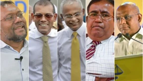 MDP to form committee, Nasheed to get council membership