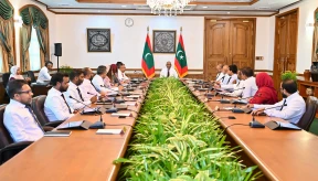 Zameer to chair reconstituted crisis committee