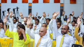 MDP national council backs joint opposition movement