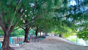 MTCC fined MVR 550,000 for tree removal in protected area