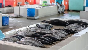 UK eliminates import duties on Maldivian tuna products