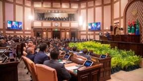 Petition opposes bill giving cabinet power over council land