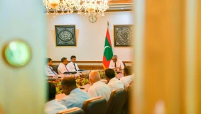Bill giving cabinet power to reclaim council land passed
