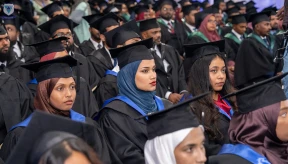 15-year colleges can apply for university status