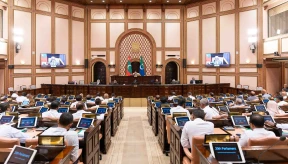 MPs willing to give up health insurance but warn of higher costs